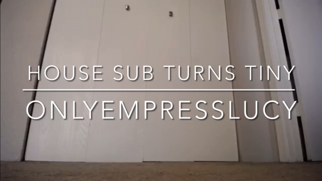 House sub turns Tiny